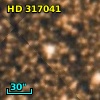 HD 317041
