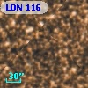 LDN  116