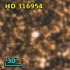 HD 316954