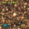 HD 316955