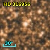 HD 316956