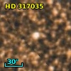 HD 317035