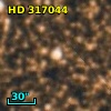 HD 317044