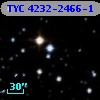 TYC 4232-2466-1