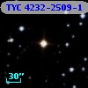 TYC 4232-2509-1