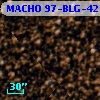 MACHO 97-BLG-42