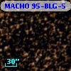 MACHO 95-BLG-5