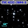 TYC 4232-2604-1