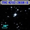 TYC 4232-2618-1
