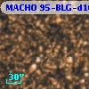 MACHO 95-BLG-d10