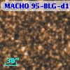 MACHO 95-BLG-d11