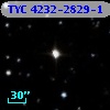 TYC 4232-2829-1