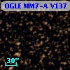 OGLE MM7-A V137