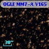 OGLE MM7-A V165