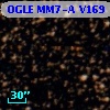 OGLE MM7-A V169