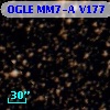 OGLE MM7-A V177