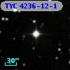 TYC 4236-12-1