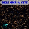 OGLE MM7-A V175