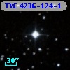 TYC 4236-124-1