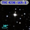 TYC 4236-168-1