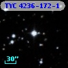 TYC 4236-172-1
