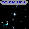 TYC 4236-175-1