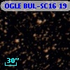 OGLE BUL-SC16     19