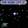 TYC 4236-211-1