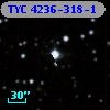 TYC 4236-318-1