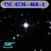 TYC 4236-460-1
