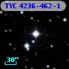TYC 4236-462-1