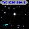 TYC 4236-560-1