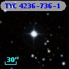 TYC 4236-736-1