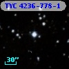 TYC 4236-778-1