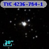 TYC 4236-784-1