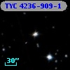 TYC 4236-909-1