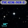 TYC 4236-919-1