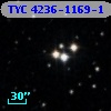 TYC 4236-1169-1