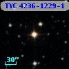 TYC 4236-1229-1