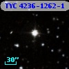 TYC 4236-1262-1