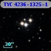 TYC 4236-1325-1
