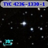TYC 4236-1330-1