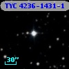 TYC 4236-1431-1
