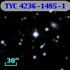 TYC 4236-1485-1