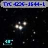 TYC 4236-1644-1