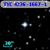 TYC 4236-1667-1