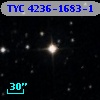 TYC 4236-1683-1