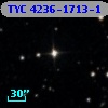 TYC 4236-1713-1