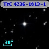 TYC 4236-1813-1
