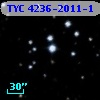TYC 4236-2011-1